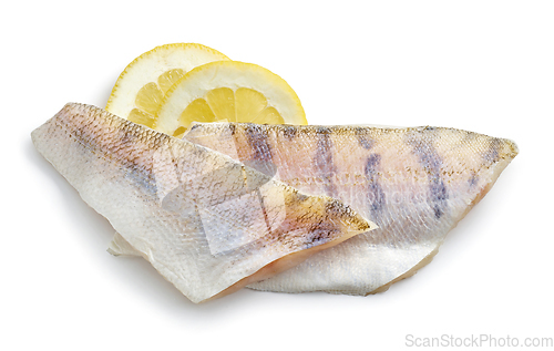 Image of fresh raw zander filet