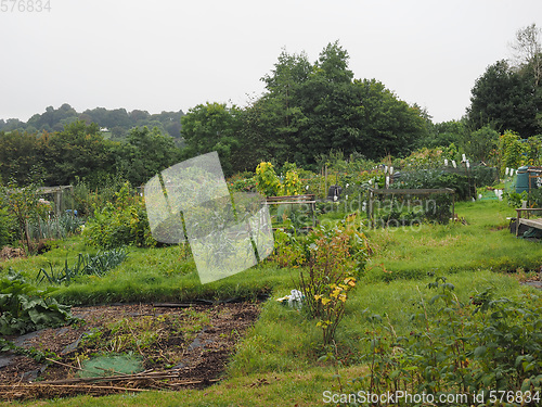 Image of Allotment garden (community garden)