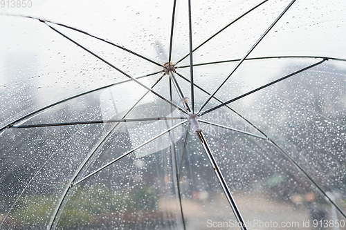 Image of Wet transparent umbrella on natural background