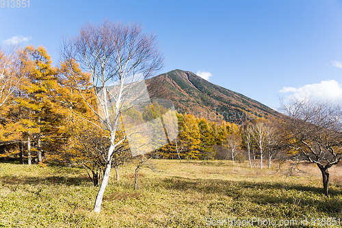 Image of Mount Nantai in Autumn