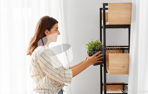 Image of woman decorating home with flower or houseplant