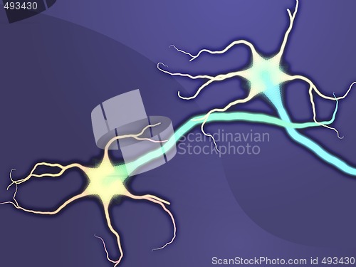 Image of Neuron nerve cells