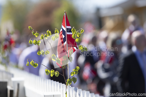 Image of Norwegian Constitution Day