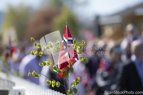 Image of Norwegian Constitution Day