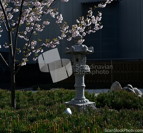 Image of sakura blossoms and a stone lantern in a traditional Japanese ga