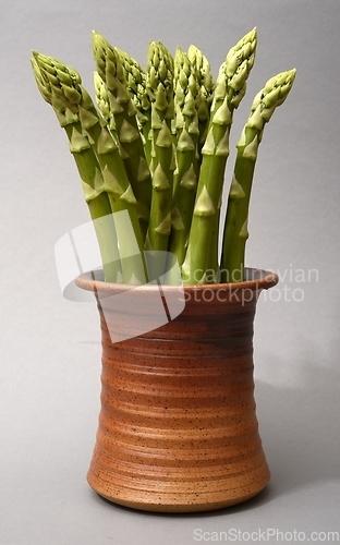 Image of a bunch of asparagus in a ceramic pot 
