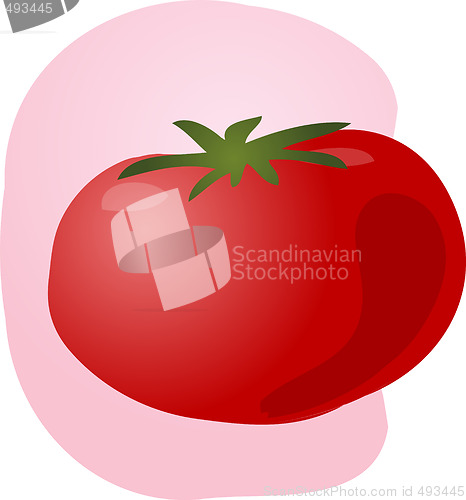 Image of Tomato illustration
