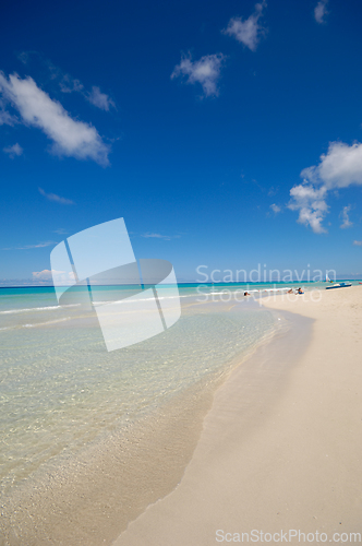 Image of Tropical beach