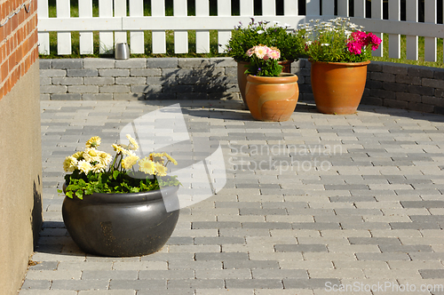 Image of Flowers in pots 