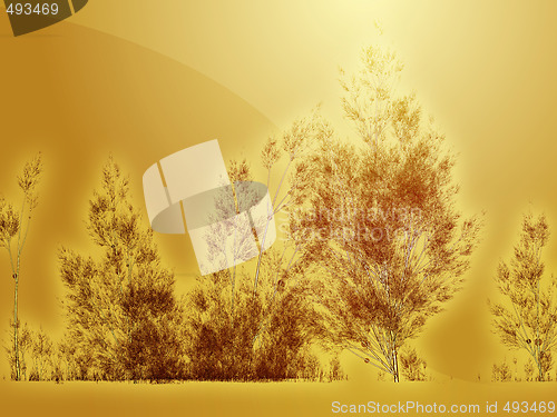 Image of Birch trees illustration