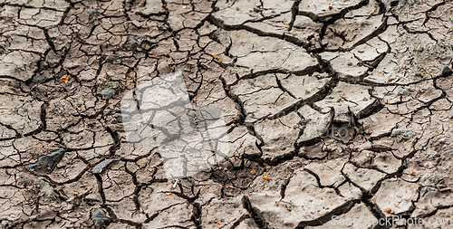 Image of Dry cracked soil.