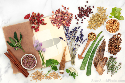 Image of Herbal Plant Medicine Preparation with Herbs and Flowers