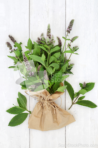 Image of Peppermint Herb for Seasoning and Herbal Medicine 