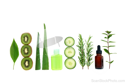 Image of Natural Aromatherapy Plant Based Skincare Remedies