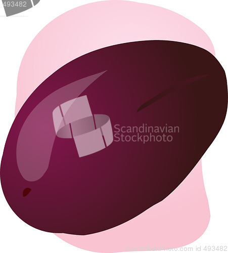 Image of Plum fruit illustration