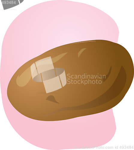 Image of Potato illustration