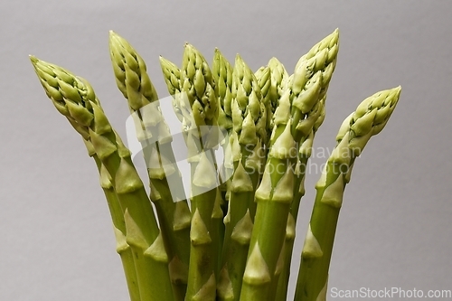 Image of a bunch of asparagus on a neutral backdrop