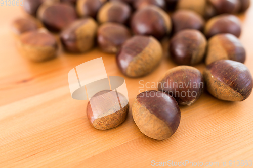 Image of Chestnut