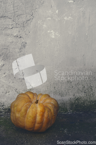 Image of Halloween Pumpkin