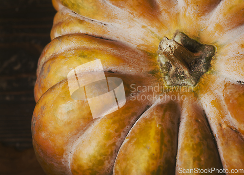 Image of Pumpkin