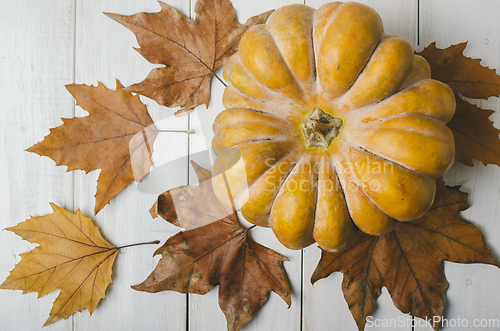 Image of Pumkin and maple leaves