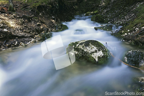 Image of spring in the Apuseni mountains