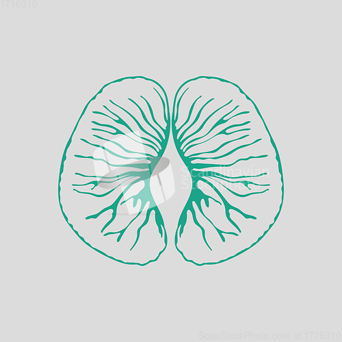Image of Icon of Mandarin