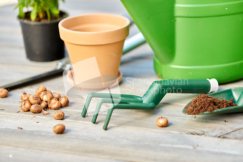 Image of garden tools and flowers on wooden terrace