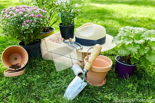 Image of garden tools, wooden box and flowers at summer