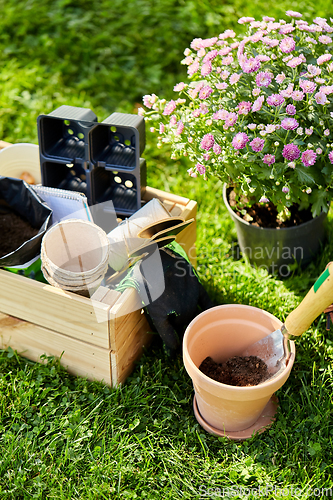 Image of garden tools in wooden box at summer