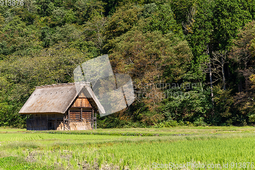 Image of Shirakawago village in the forest