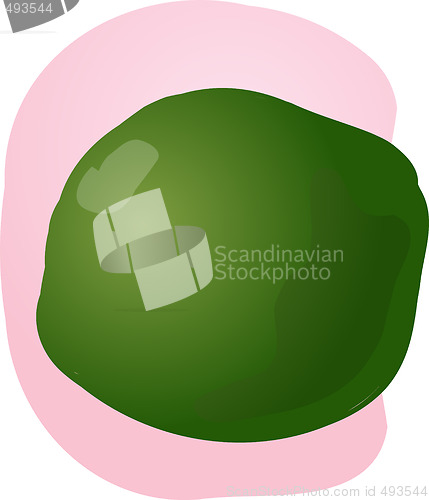 Image of lime illustration