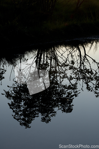 Image of Silhouette Girl