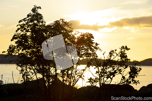 Image of Silhouette Girl