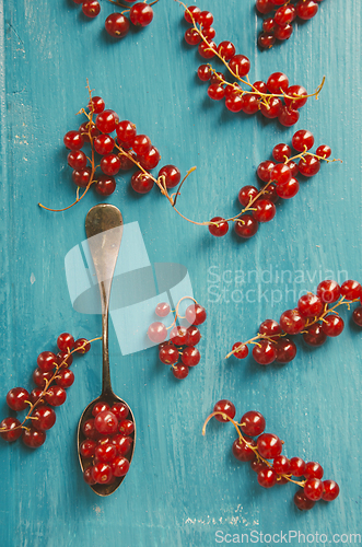 Image of Red Currant