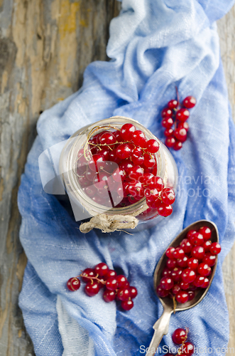 Image of Red Currant