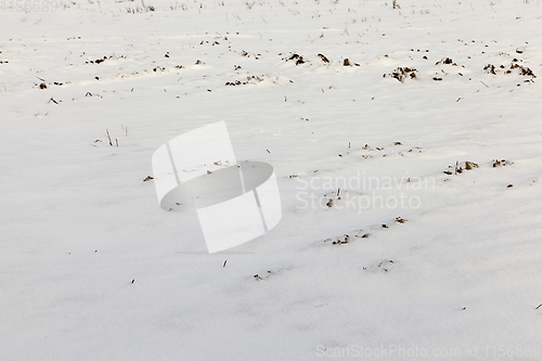 Image of snow covered land