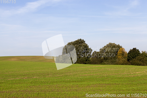 Image of agricultural field