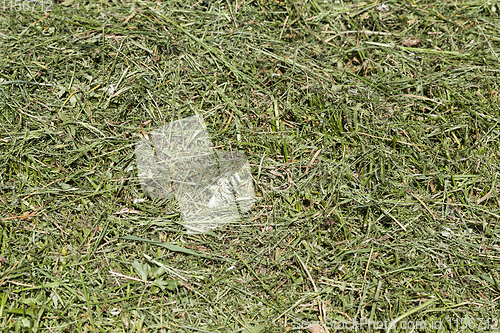 Image of green grass