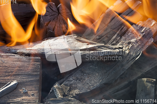 Image of blackened logs