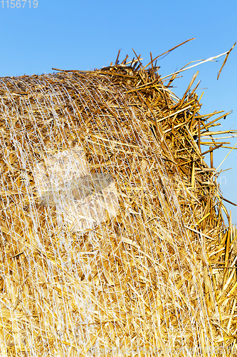 Image of dry yellow straw