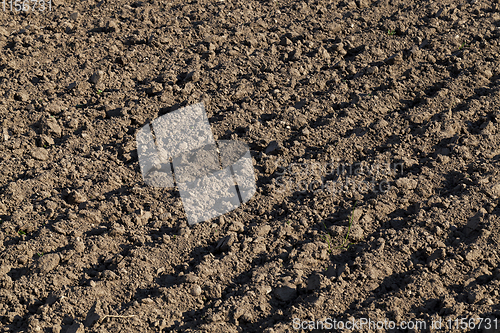 Image of plowed field