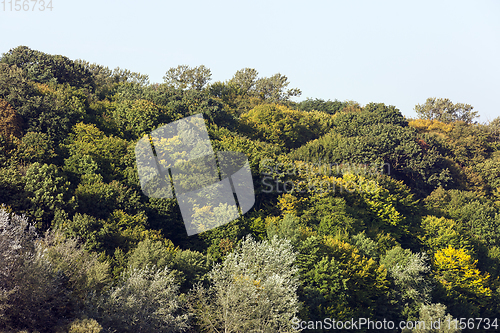 Image of mixed forest