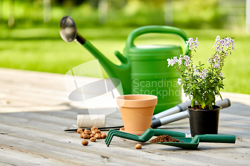 Image of garden tools and flowers on wooden terrace