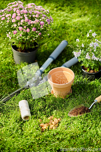 Image of garden tools and flowers on grass at summer