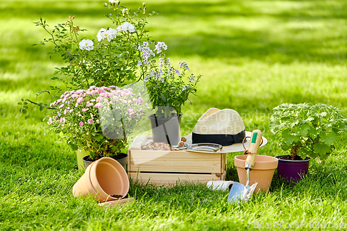 Image of garden tools, wooden box and flowers at summer