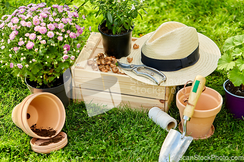 Image of garden tools, wooden box and flowers at summer