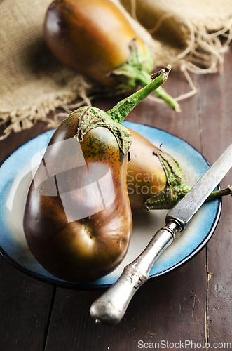 Image of Eggplant