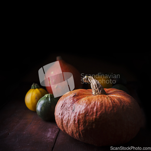 Image of Pumpkins