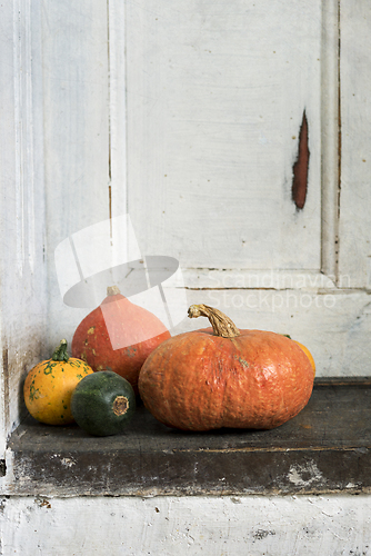 Image of Pumpkins